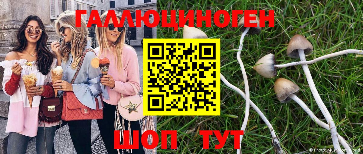 Касимов  Галлюциногенные грибы мухоморы  Галлюциногенные грибы ЛСД  Вход с VPN 