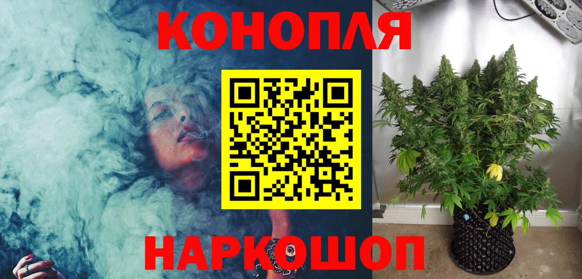 Конопля OG Kush Касимов